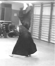 proyeccin aikido